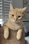 Peter - Photo 2