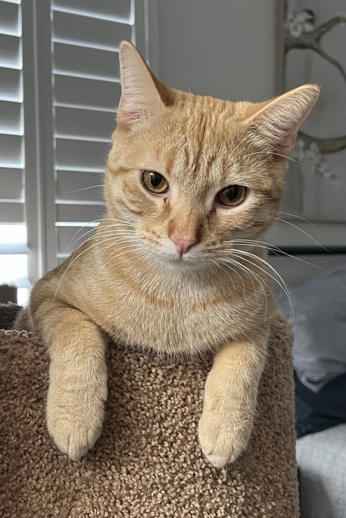 Peter
