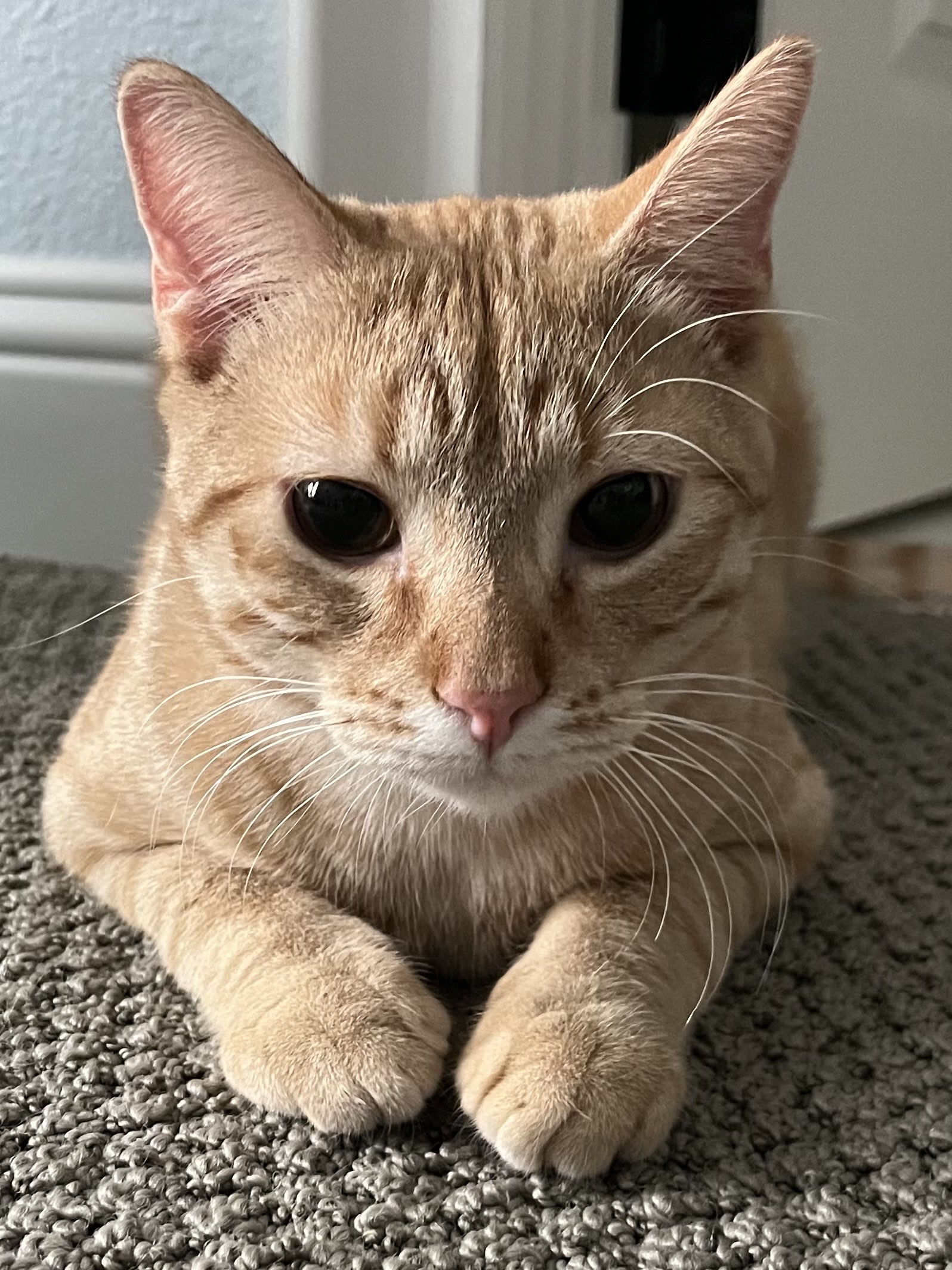 Peter