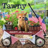 Tawny
