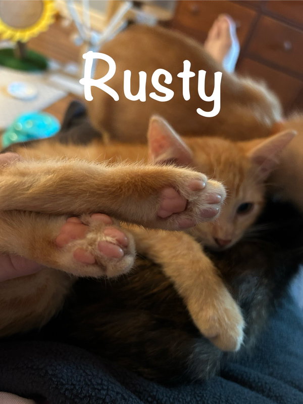 Rusty
