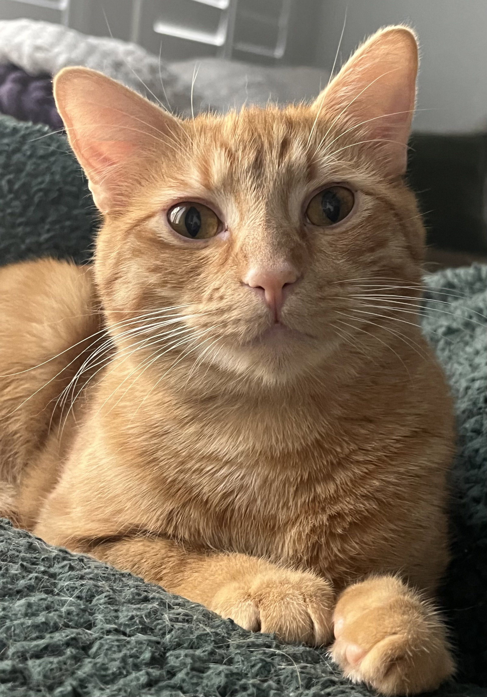 Rusty