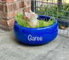 Garee