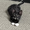 Logan