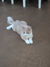 Kevin