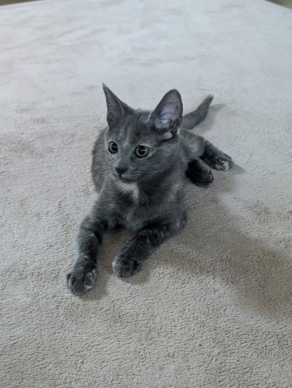 Rosie