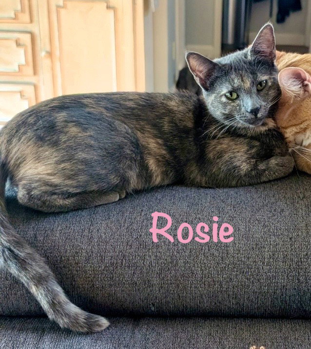 Rosie