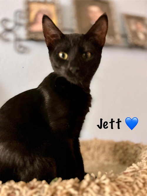Jett