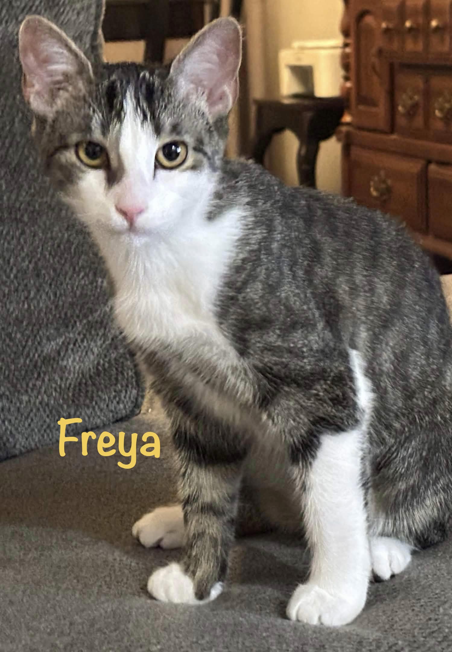 Freya Image
