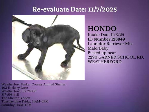 Hondo - 1
