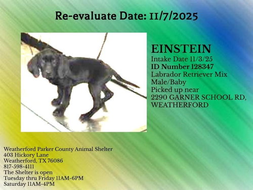 Einstein