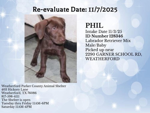 Phil