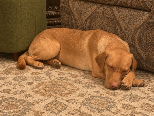 Samantha photo 5