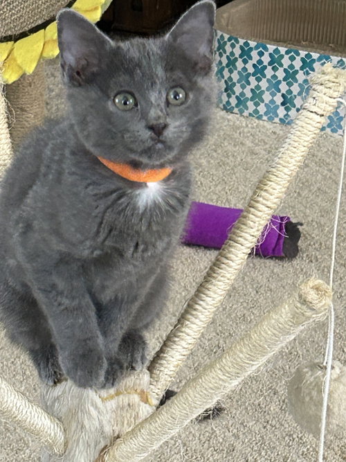 Smokey photo 2