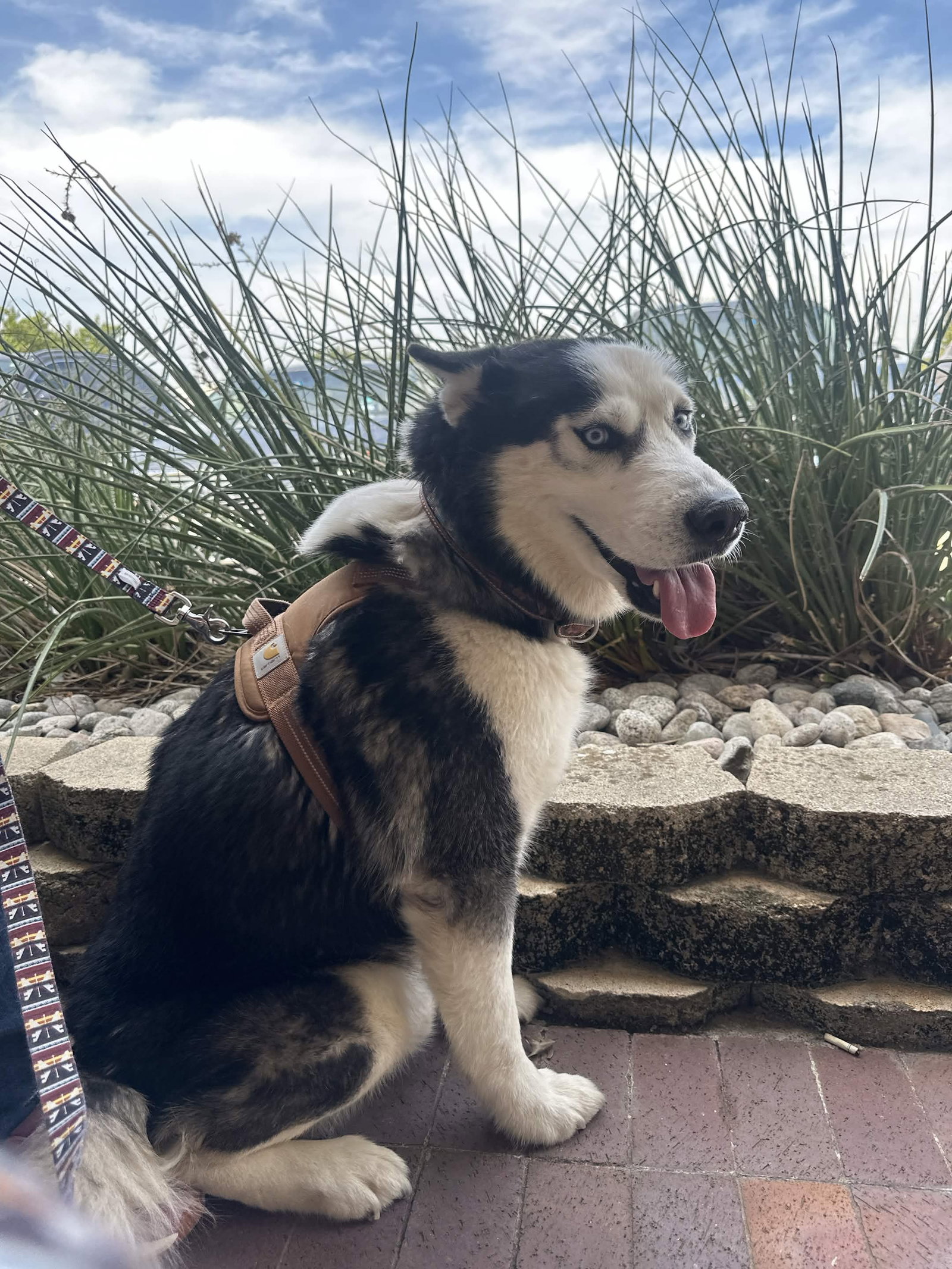 Odin, photo 5