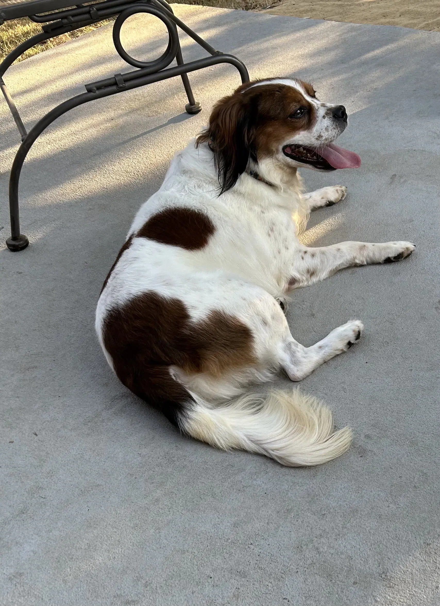 Wilbur image 2