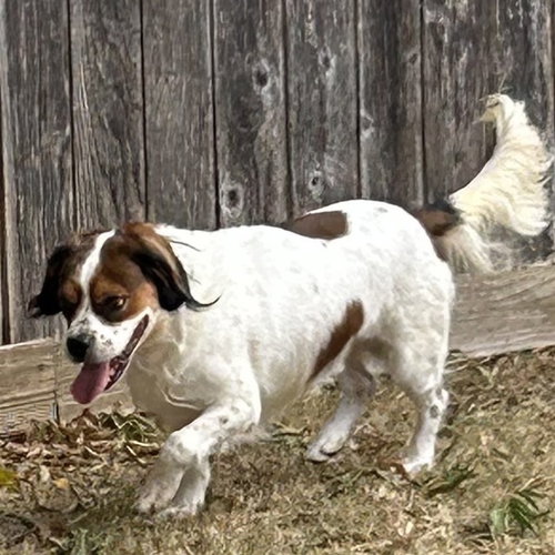 Photo 4 of Wilbur