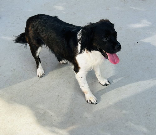 Photo 4 of Orville
