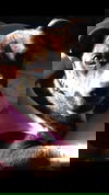 Ava