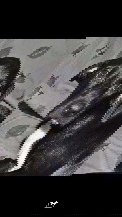 Tux