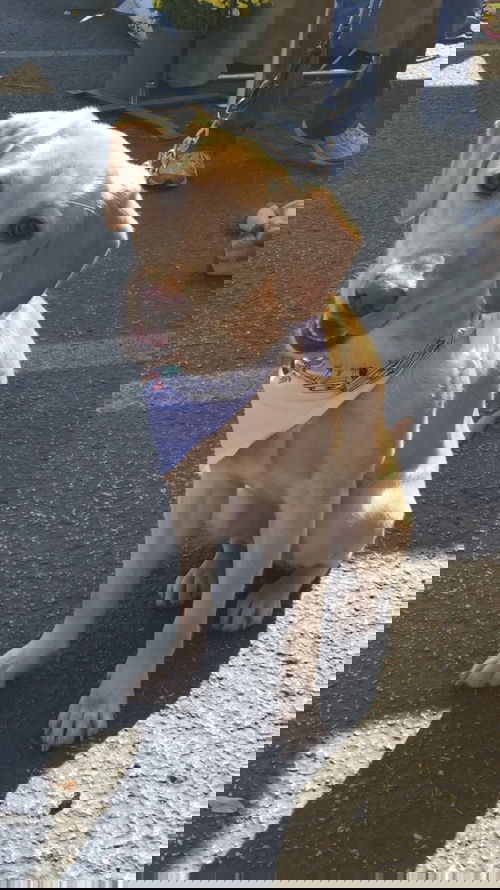 Bonnie
