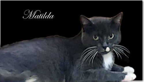 Matilda