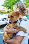 Lucy *Puppy*. New name: Aspen
