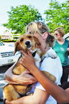 Lucy *Puppy*. New name: Aspen