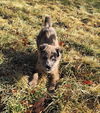 Bronx *Bronx/Paisley/Clyde Litter*