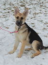 Lucrezia (Luce). New name: Ruby