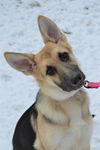 Lucrezia (Luce). New name: Ruby