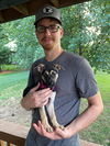 Bridget (Boilermaker Litter). New name: Charlotte