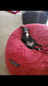 Boomer (Battlestar Galactica Litter). Nka Roo.