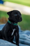 Brie (Tia's Baby)