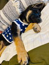 Duke *New name: Rollo