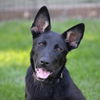 Renley