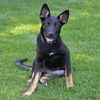 Renley