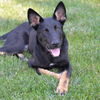 Renley