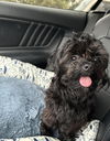 Rufio