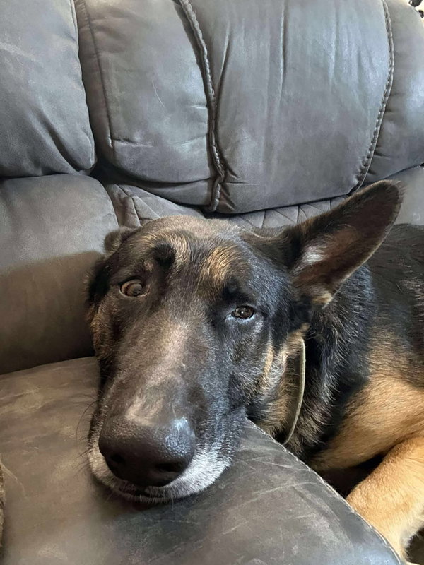 Otis