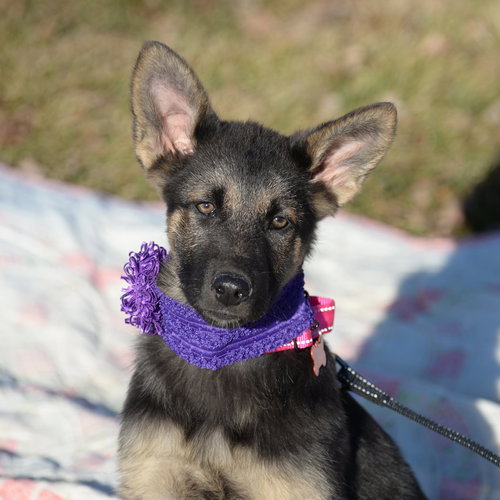 Lilah