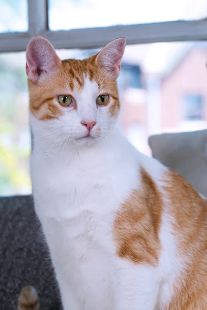 Tyson