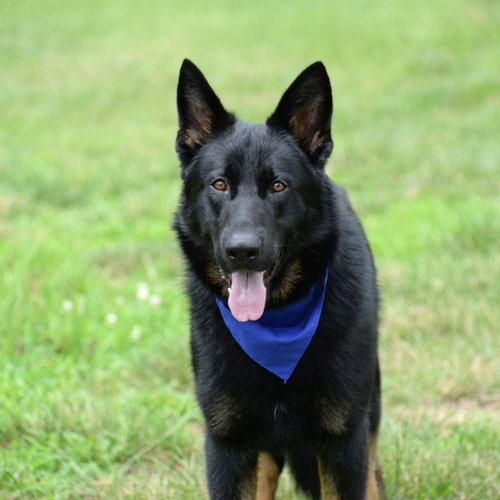 Jax photo 4