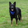 Jax (aka Jackson) - Photo 9