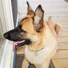 Duke