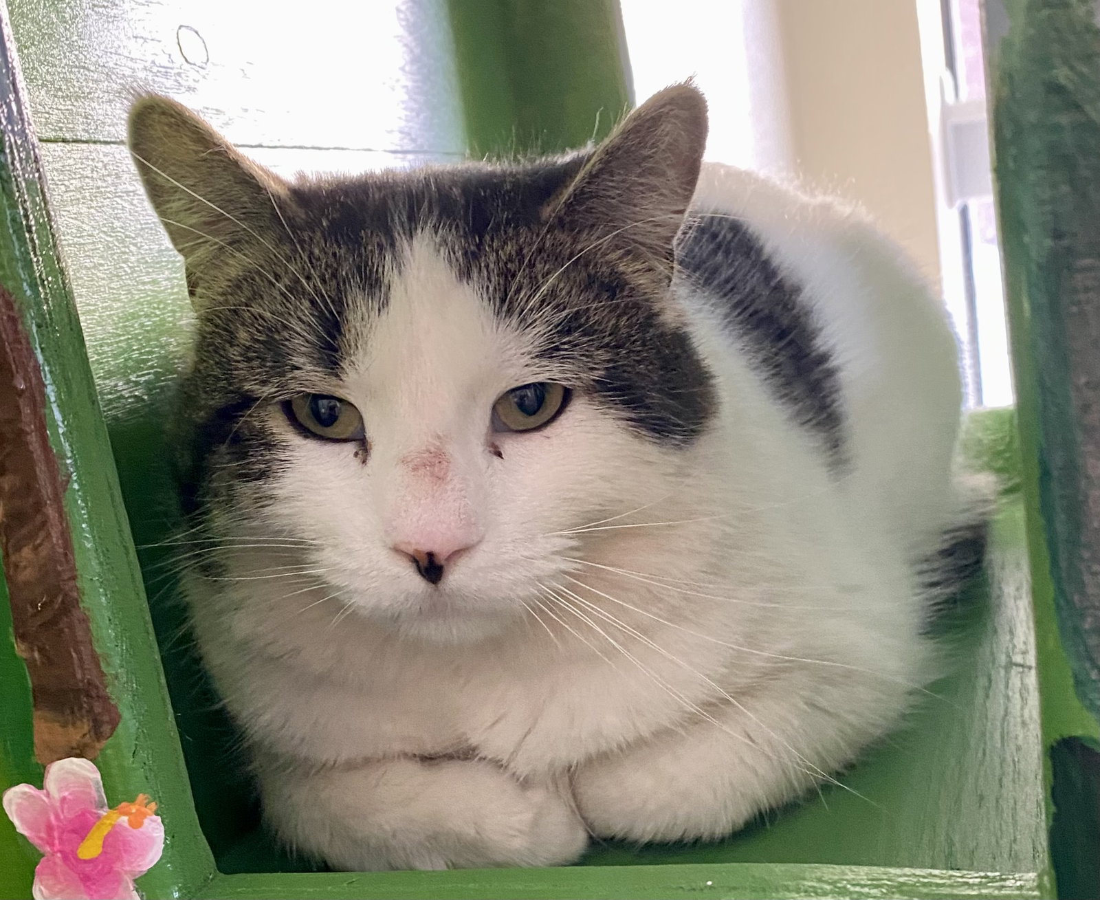 Meatloaf