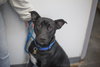 PeeWee - Photo 1