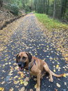 Mongo - Photo 1