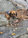 Mongo - Photo 3