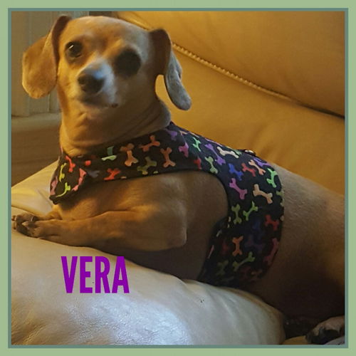 Vera